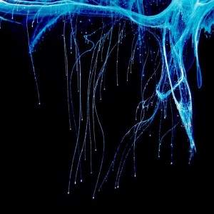 Aqueous
