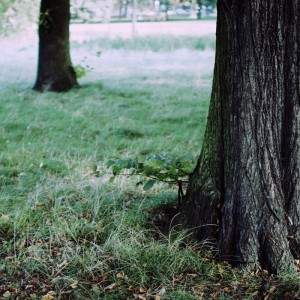 BLOG_LONDRES_2