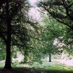 LONDRES – Hyde Park #2