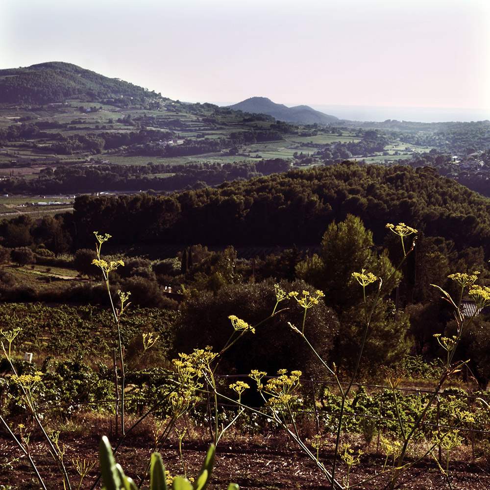 Le Temps d’un Week-end au CASTELLET…